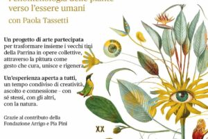 tassetti